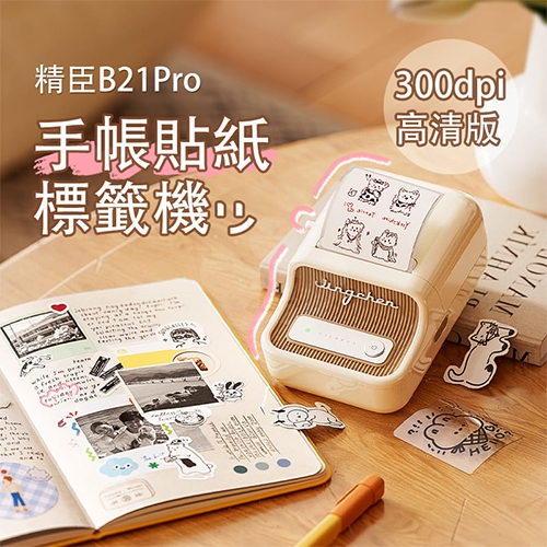 NIIMBOT精臣 B21 Pro 升級高清版 大尺寸熱感應標籤機 曜白金 吉伊卡哇 (適用20-50mm標籤帶)