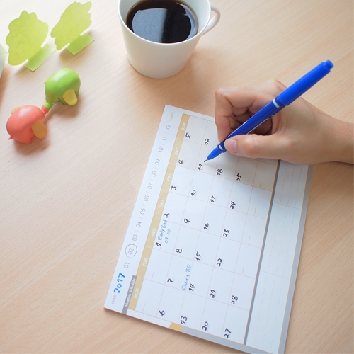 N次貼 6X8 可再貼行事曆(月曆+週曆) (40張/2本) -61625