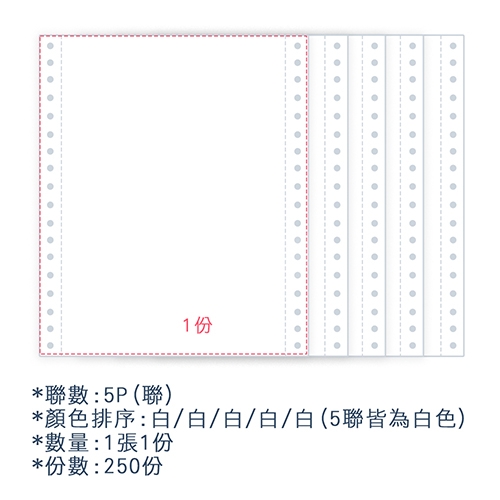 【電腦連續報表紙】 80行 9.5*11*5P 全白/ 雙切 全張 /超值組3箱(足量250份/箱)
