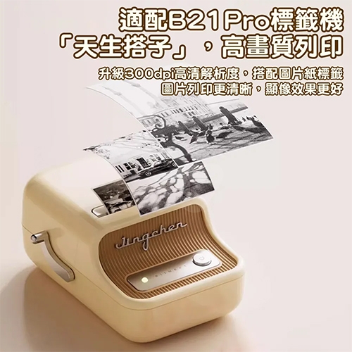 NIIMBOT精臣 B PRo系列適用 / 54x67mm 相片紙 相片卡貼 卡貼款標籤帶 卡通標籤貼 貓貓蟲咖波 繽紛時光機 ( 120張 / 2種圖案 )